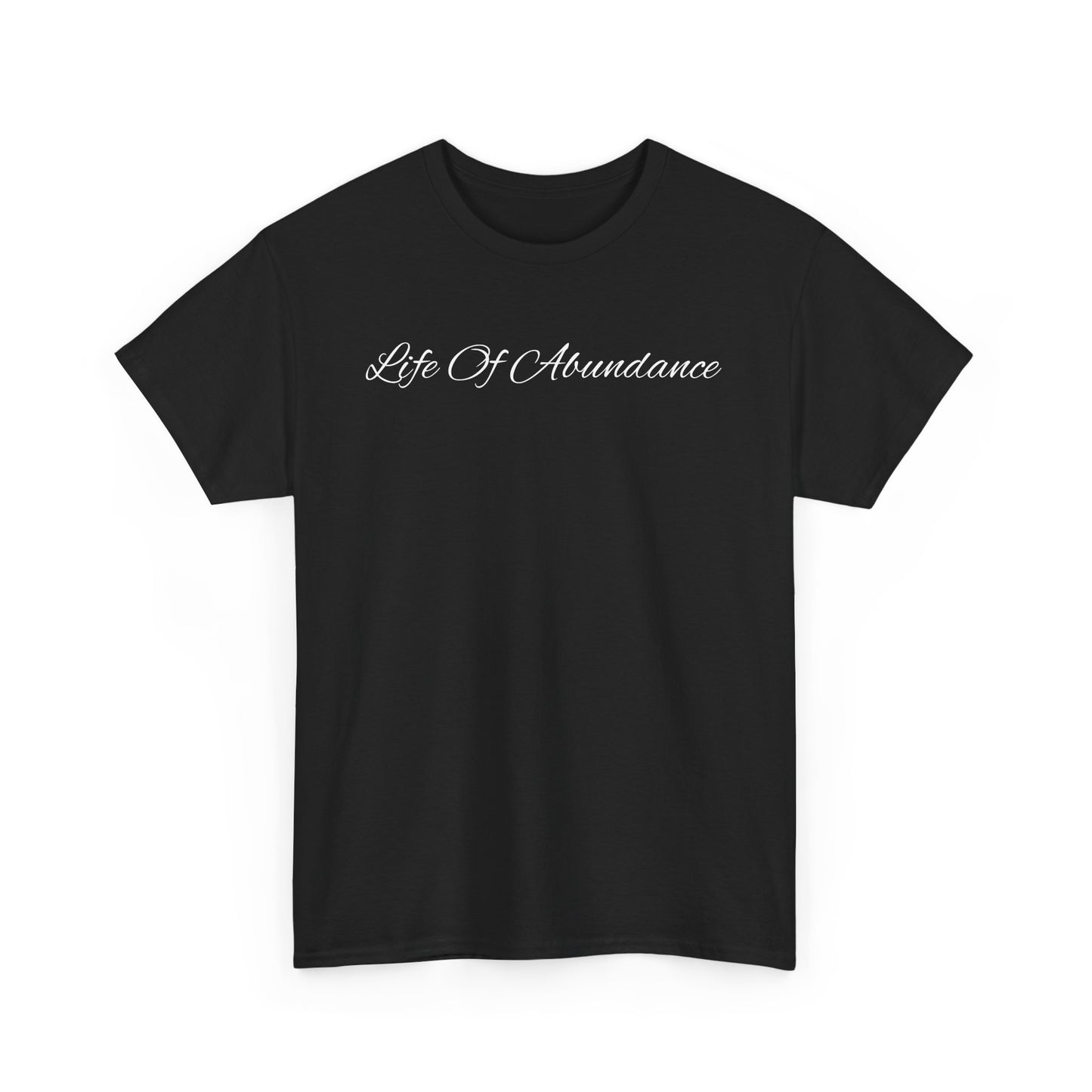 Missionary So We Can Keep Arguing (Heavy Cotton T)