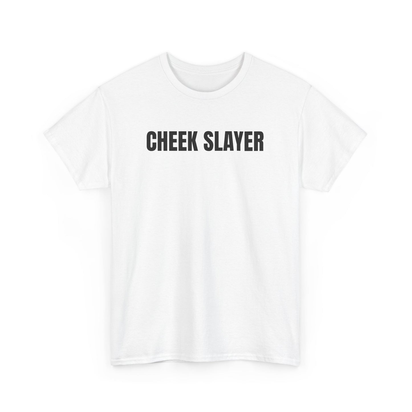Missionary So We Can Keep Arguing (Heavy Cotton T)